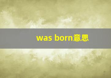 was born意思